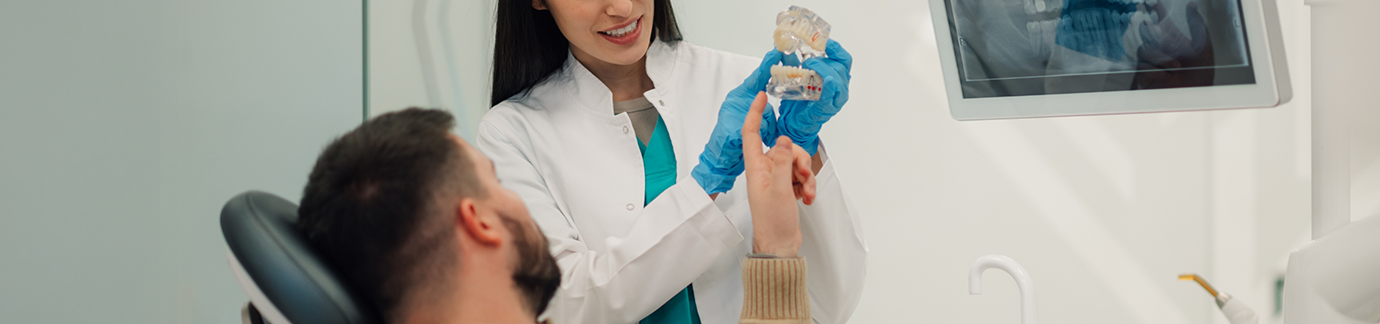 Dentist showing model of teeth to patient