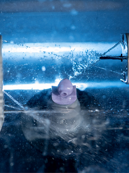 Crown being made in CEREC machine